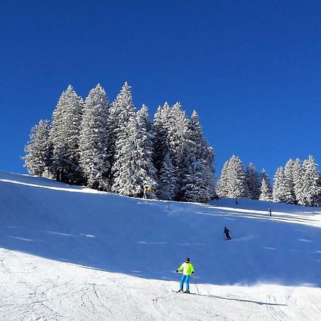 Apartament Laubrinus Adelboden Zewnętrze zdjęcie