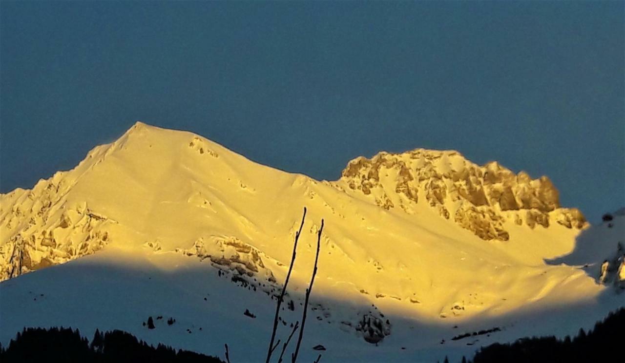 Apartament Laubrinus Adelboden Zewnętrze zdjęcie