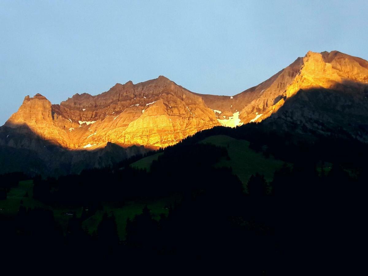 Apartament Laubrinus Adelboden Zewnętrze zdjęcie